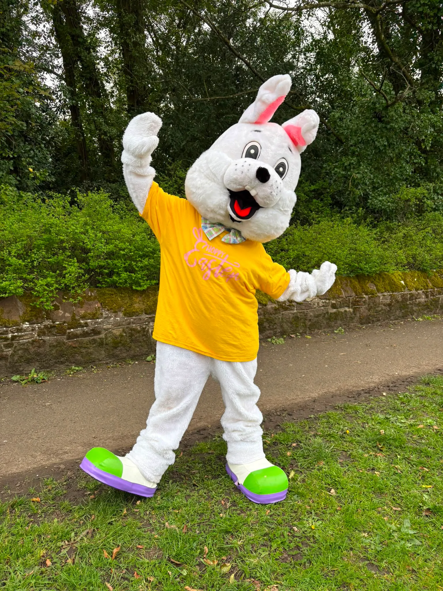 Rabbit Mascot, children's party character